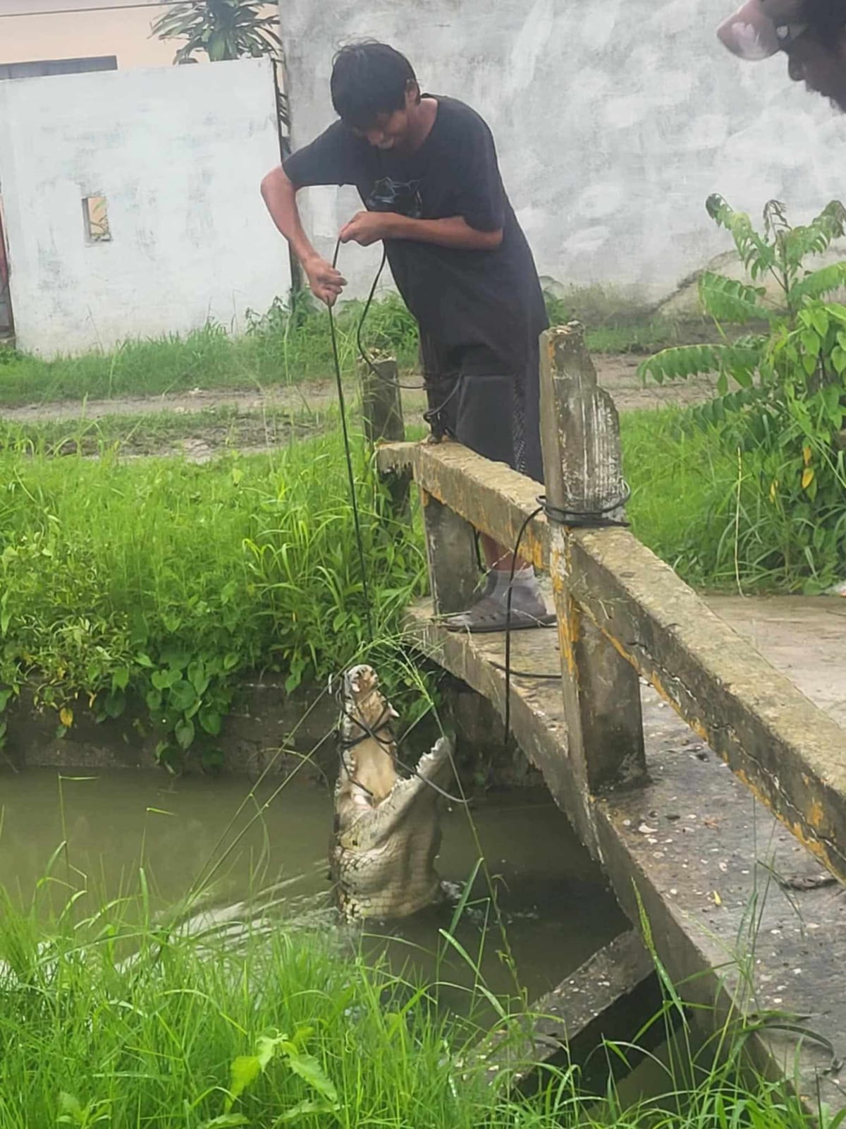 WhatsApp Image 2025-07-01 at 8.02.20 AM.jpeg