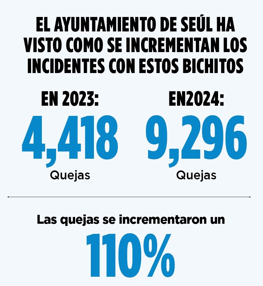 WhatsApp Image 2025-07-02 at 11.20.23 PM.jpeg