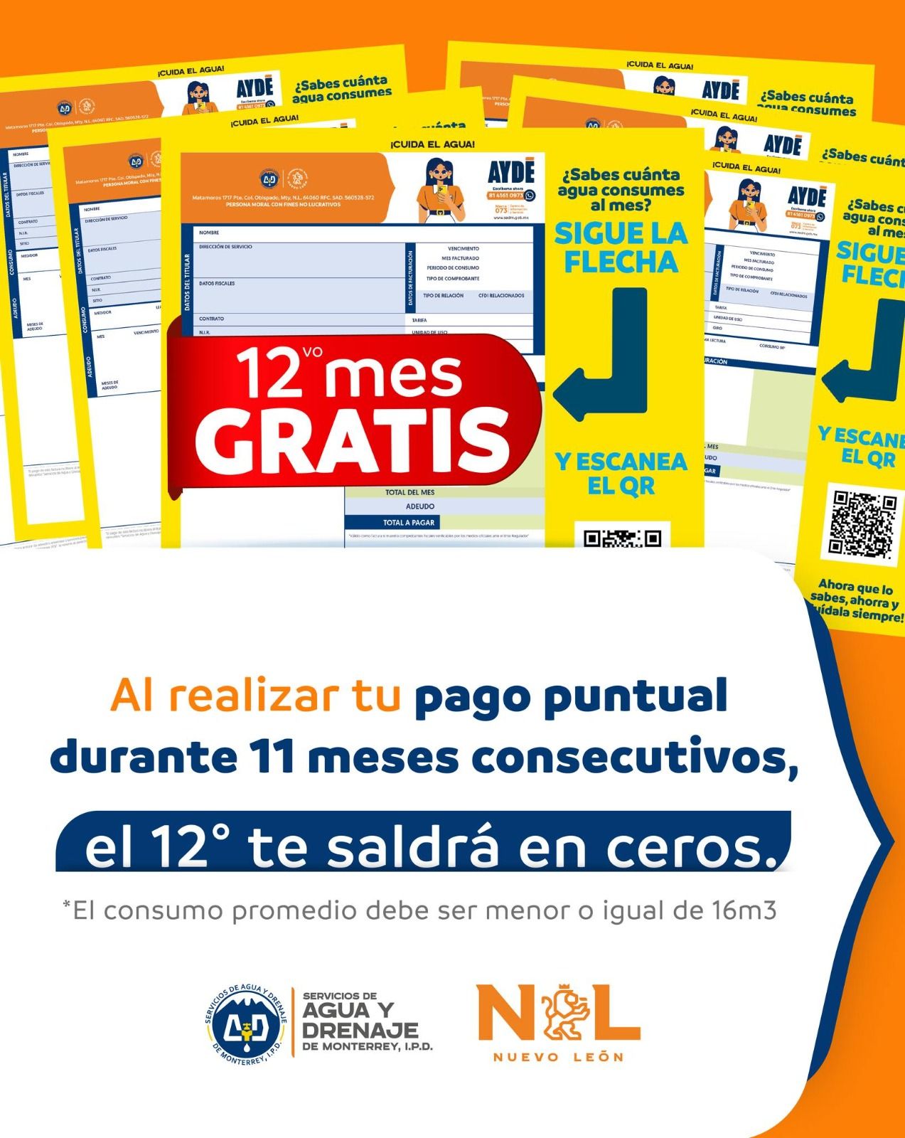 WhatsApp Image 2025-07-04 at 2.15.24 PM.jpeg