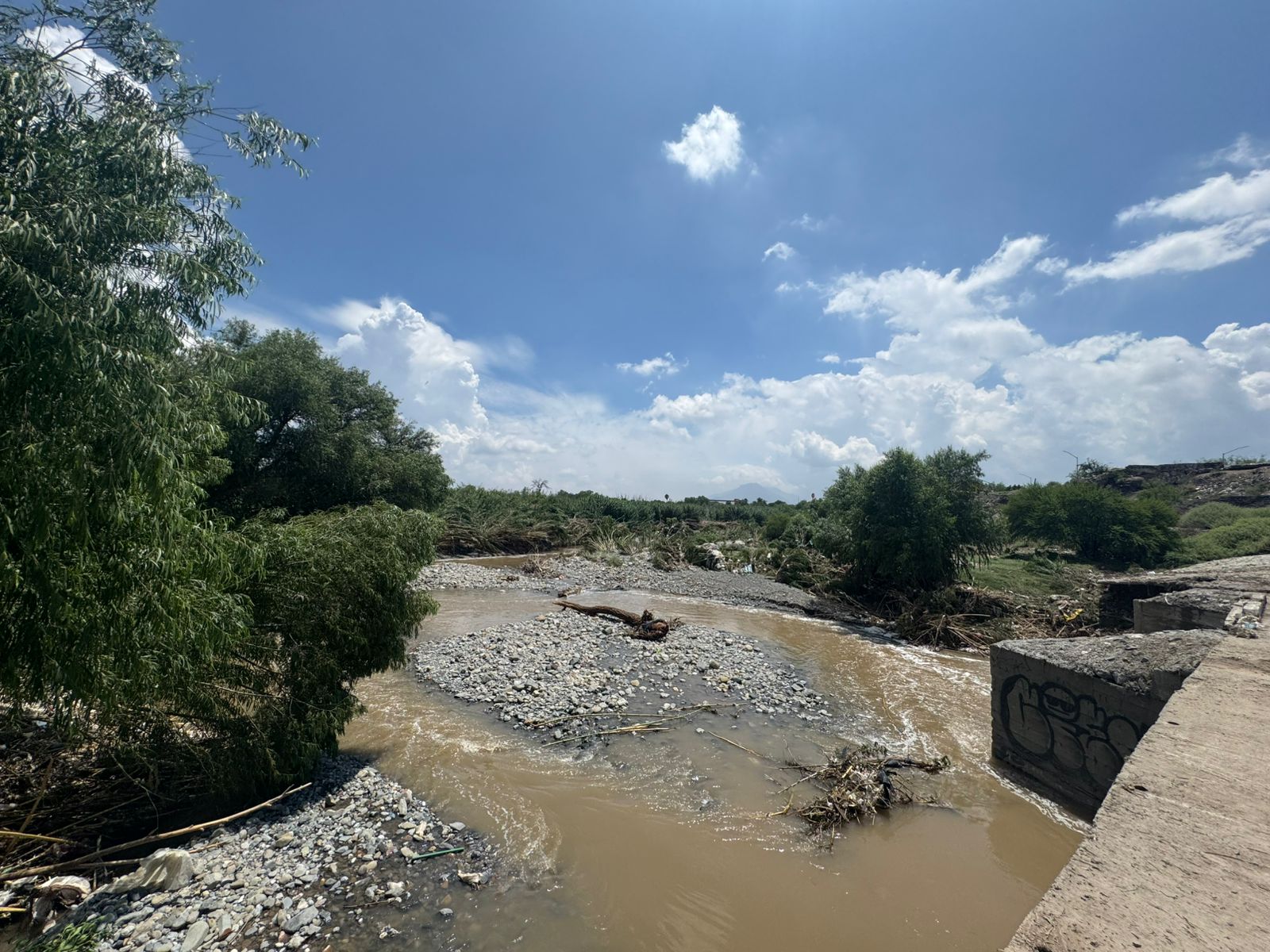 WhatsApp Image 2025-07-07 at 12.03.03 PM.jpeg