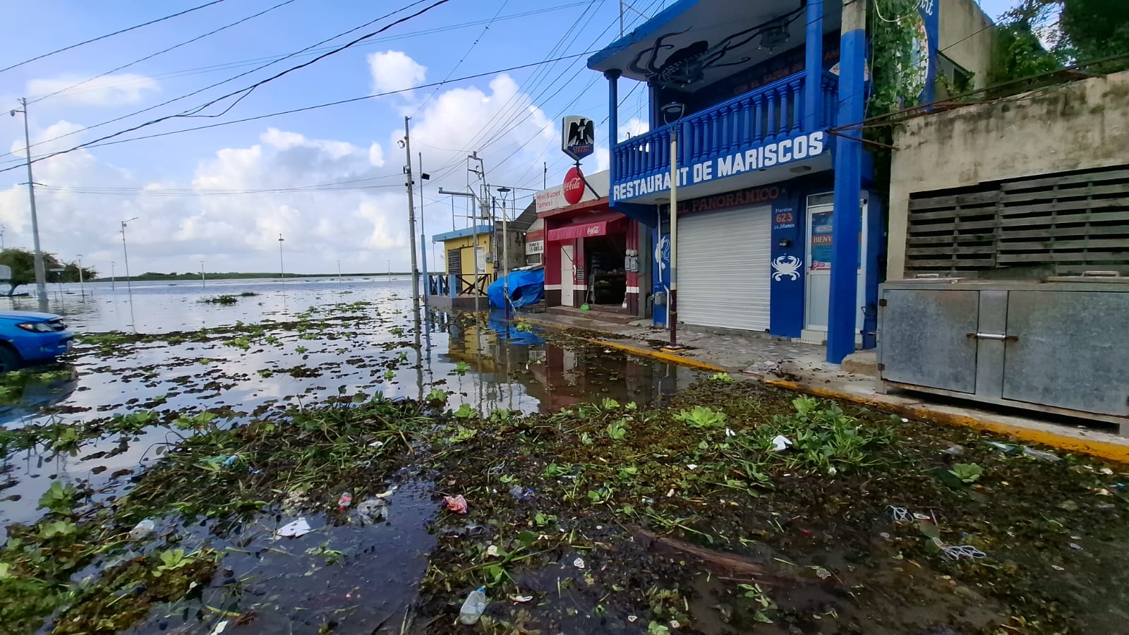 WhatsApp Image 2025-07-07 at 6.20.27 PM.jpeg