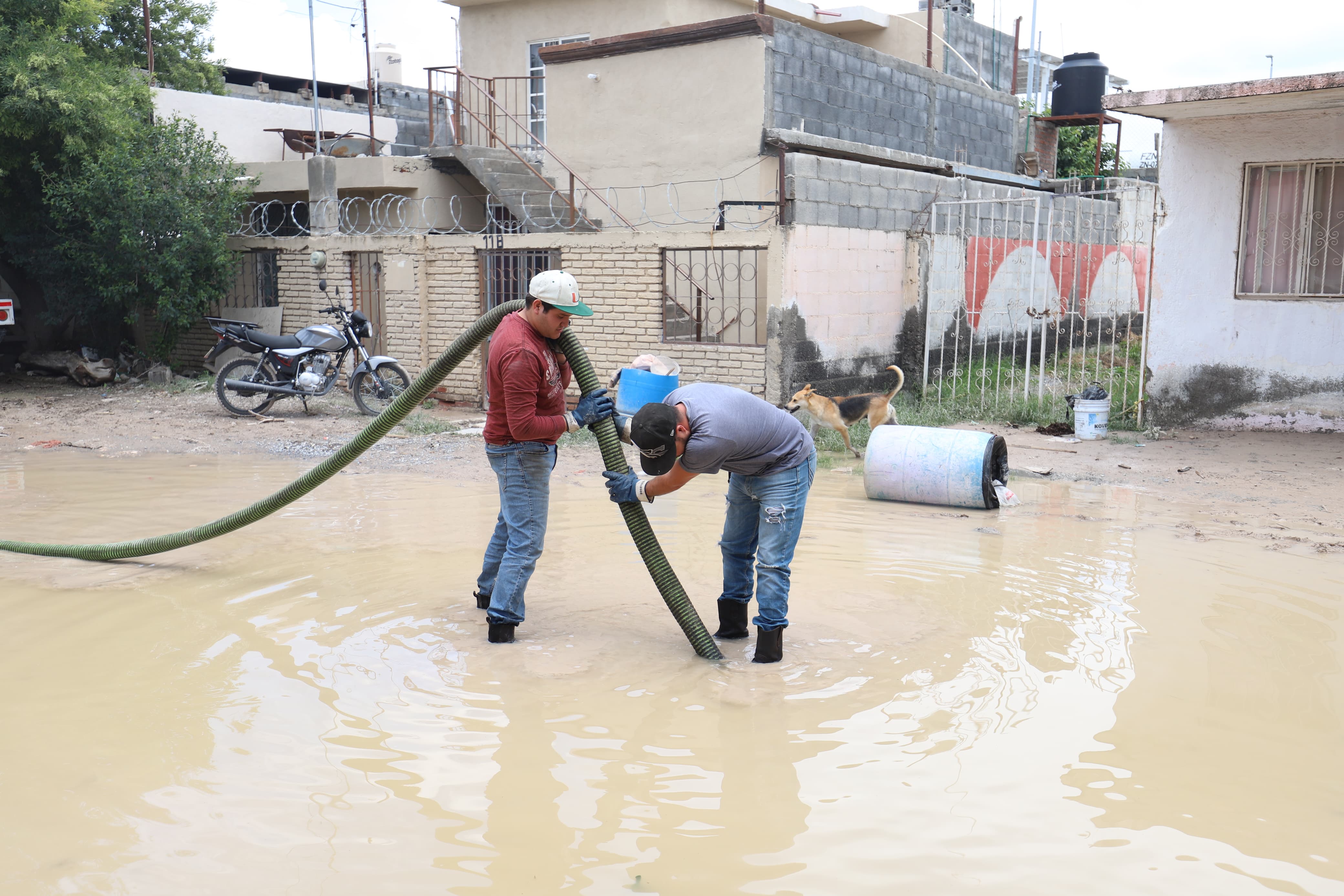 WhatsApp Image 2025-07-07 at 6.42.38 PM (2).jpeg