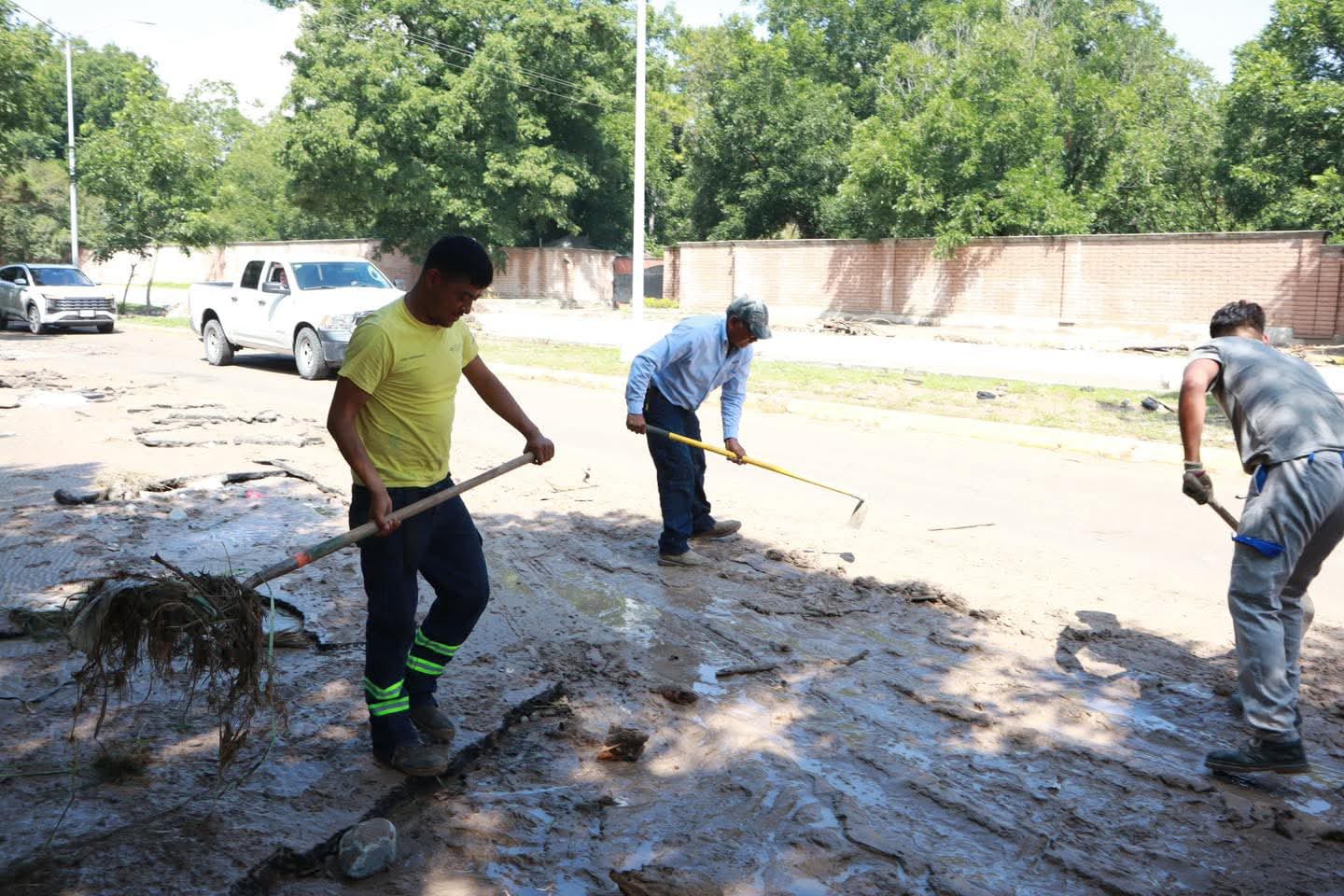 WhatsApp Image 2025-07-08 at 1.28.31 PM (1).jpeg