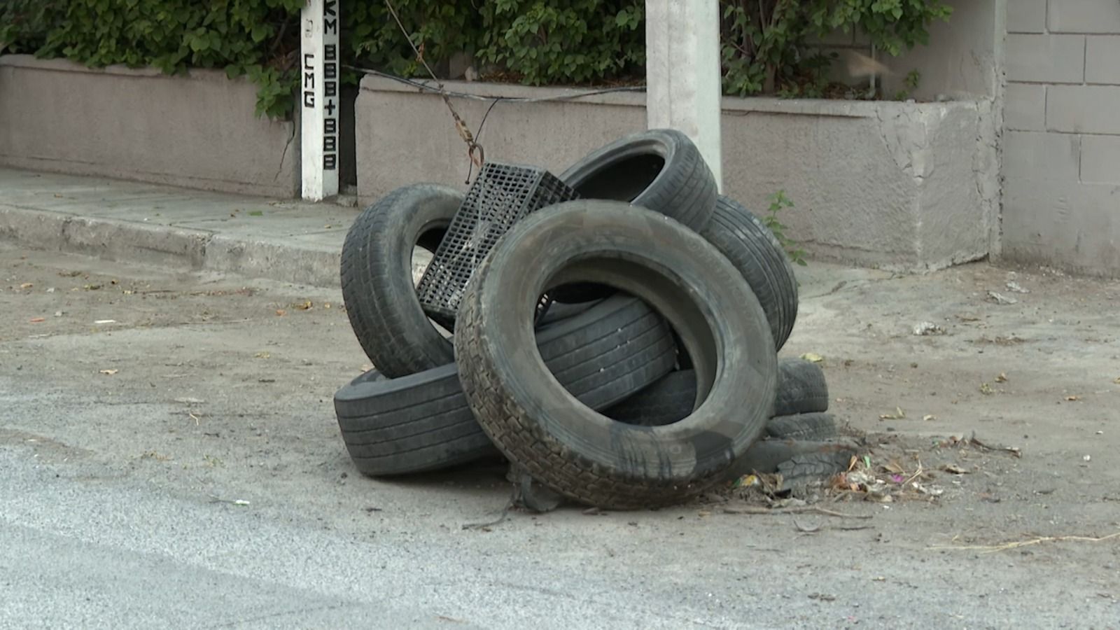 WhatsApp Image 2025-07-14 at 3.05.04 PM.jpeg