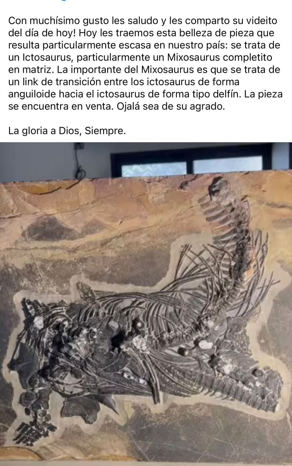 WhatsApp Image 2025-07-15 at 3.21.54 PM (1).jpeg