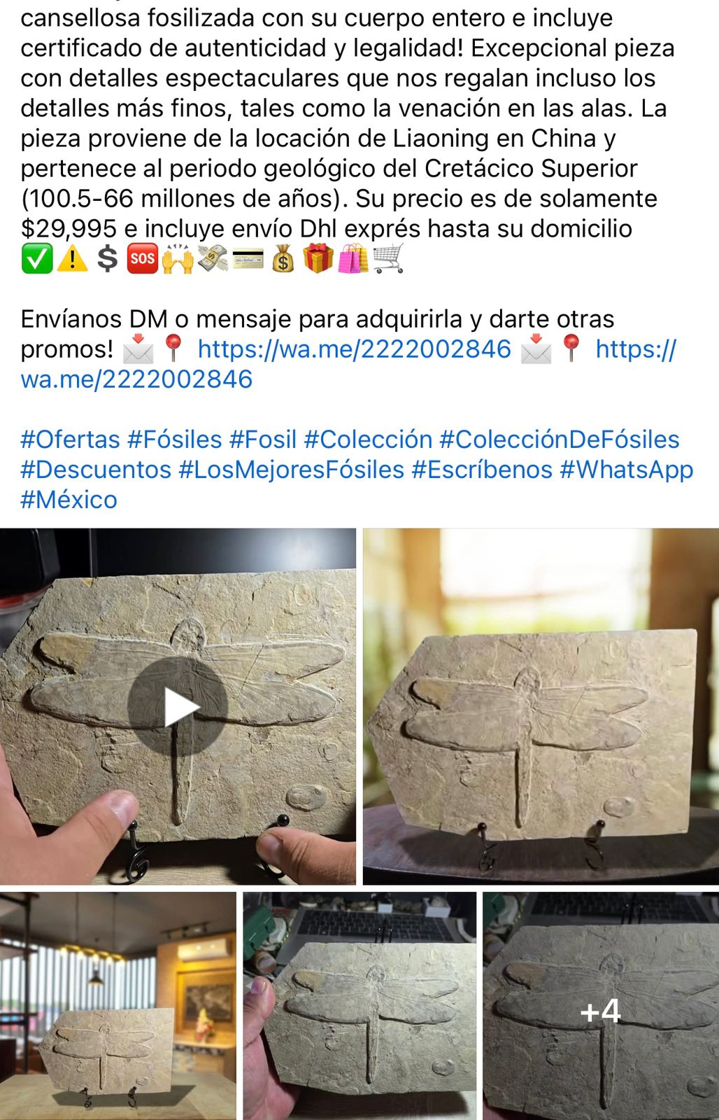 WhatsApp Image 2025-07-15 at 3.21.54 PM.jpeg