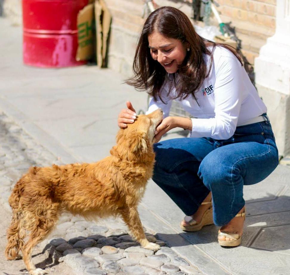 WhatsApp Image 2025-07-15 at 4.52.10 PM (2).jpeg