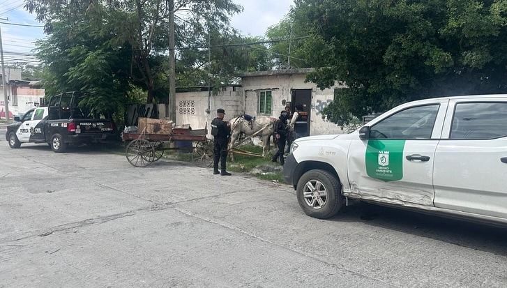 WhatsApp Image 2025-07-15 at 9.59.27 PM.jpeg