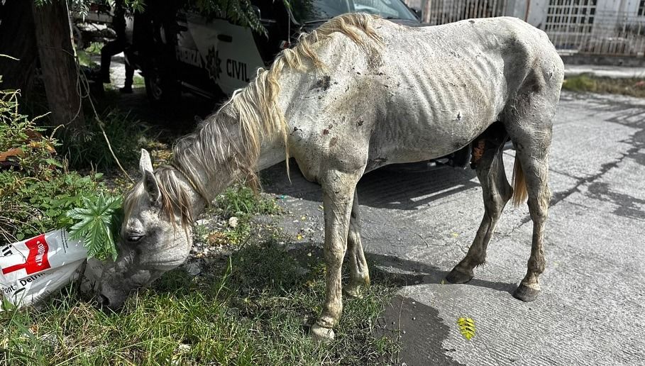 WhatsApp Image 2025-07-15 at 9.59.28 PM.jpeg