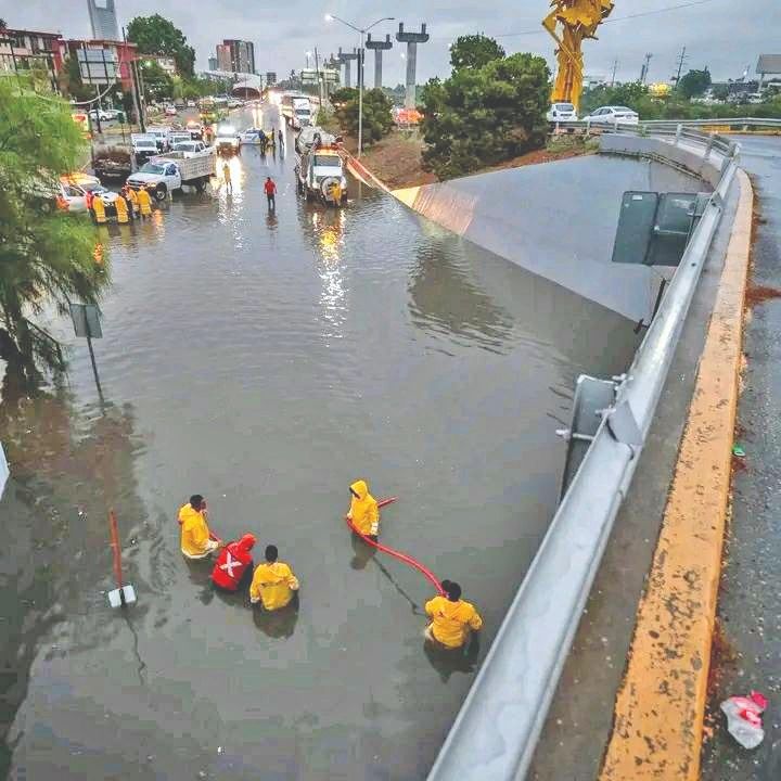 WhatsApp Image 2025-07-18 at 1.19.48 AM.jpeg