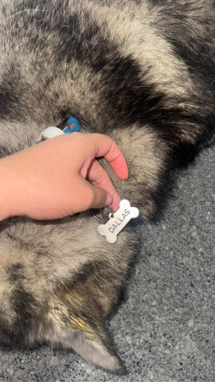 WhatsApp Image 2025-07-19 at 4.59.05 PM (1).jpeg