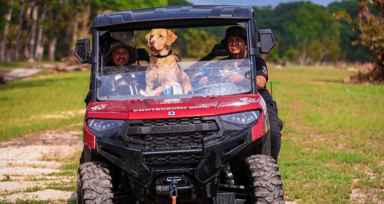 WhatsApp Image 2025-07-20 at 8.49.39 PM.jpeg