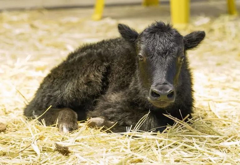 WhatsApp Image 2025-07-20 at 9.32.07 PM.jpeg