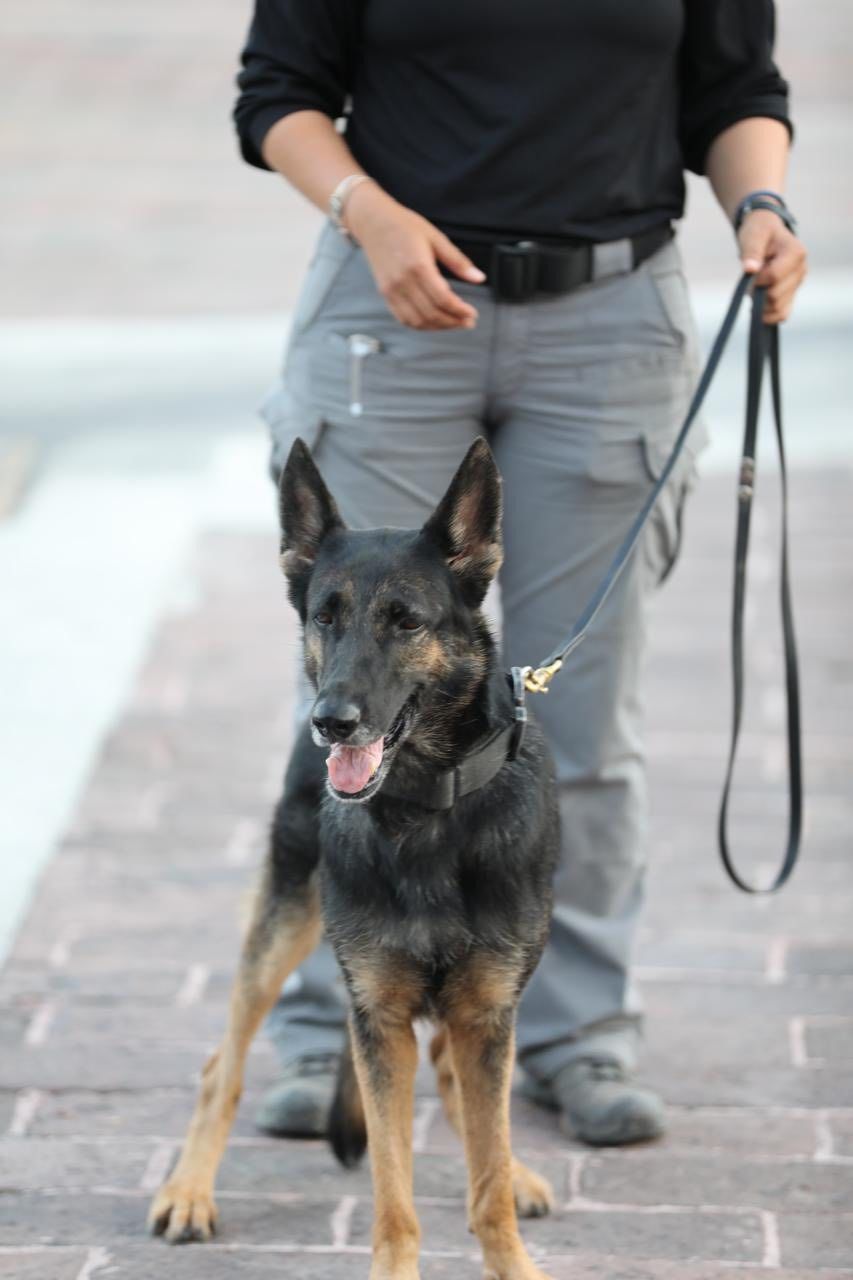 WhatsApp Image 2025-07-21 at 1.17.51 PM (1).jpeg