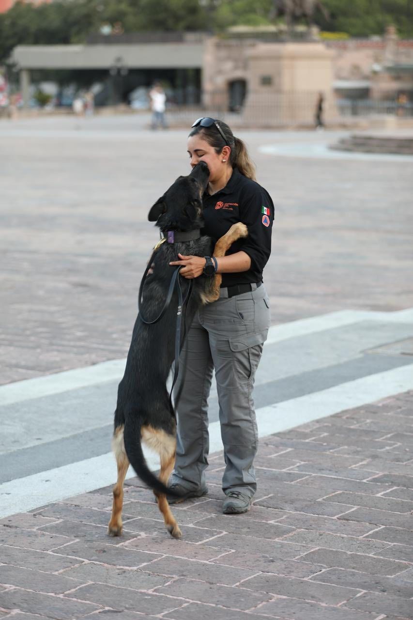 WhatsApp Image 2025-07-21 at 1.17.51 PM.jpeg