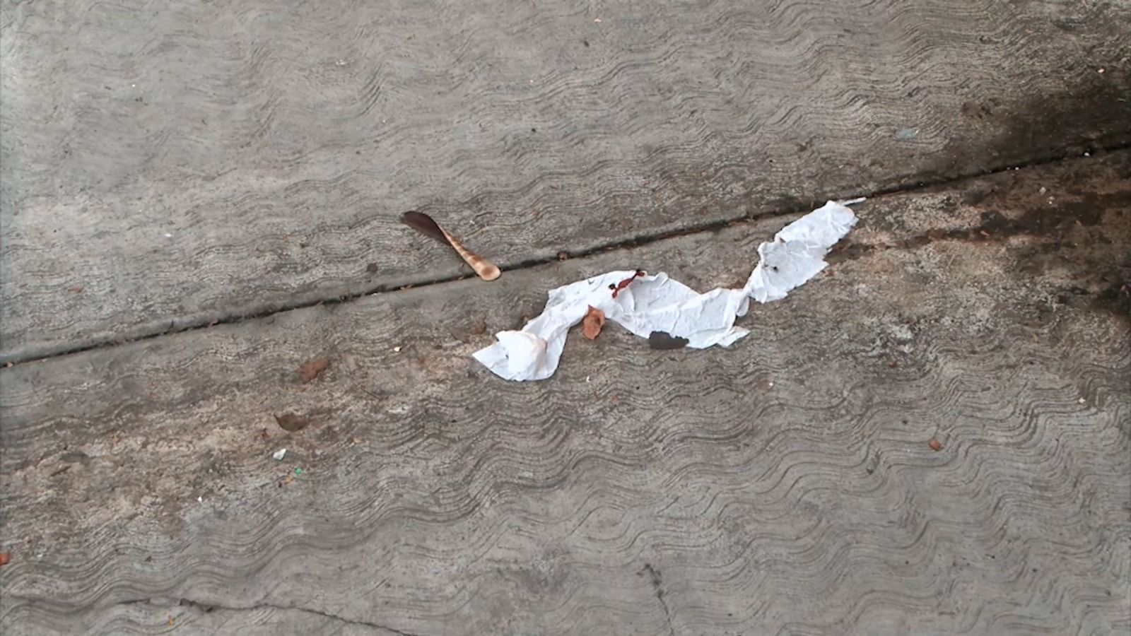 WhatsApp Image 2025-07-24 at 3.39.36 PM (2).jpeg