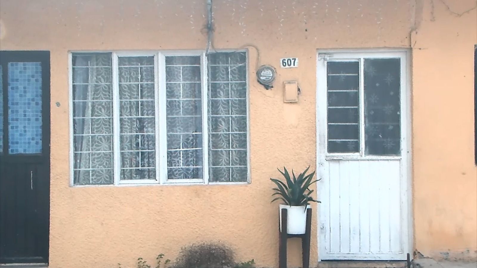 WhatsApp Image 2025-07-24 at 3.39.36 PM.jpeg