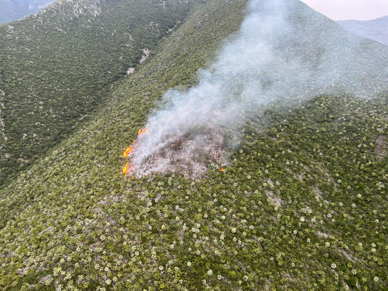 WhatsApp Image 2025-07-24 at 7.49.09 PM (2).jpeg