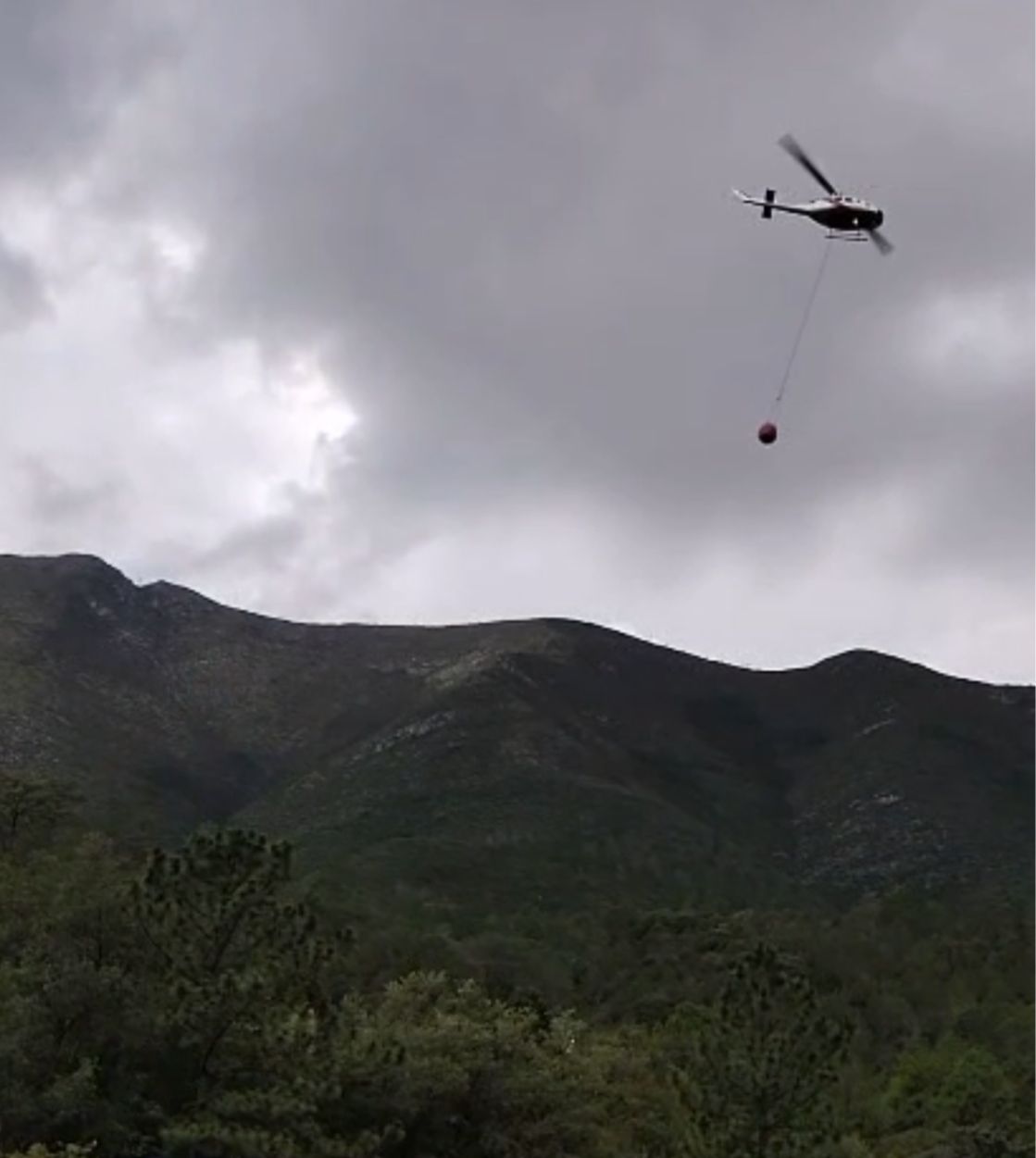 WhatsApp Image 2025-08-01 at 10.10.30 PM.jpeg