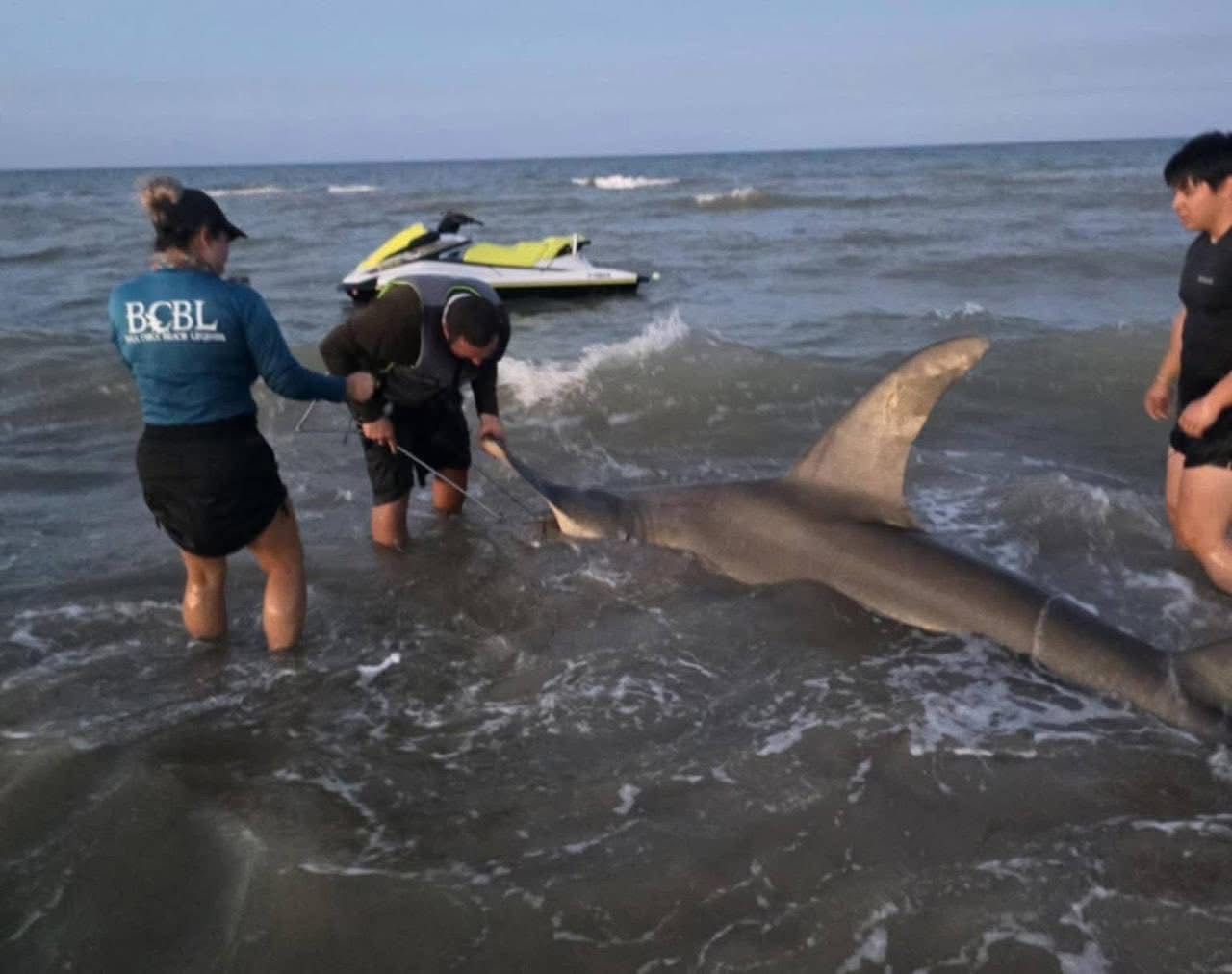 WhatsApp Image 2025-08-03 at 2.07.40 PM (1).jpeg