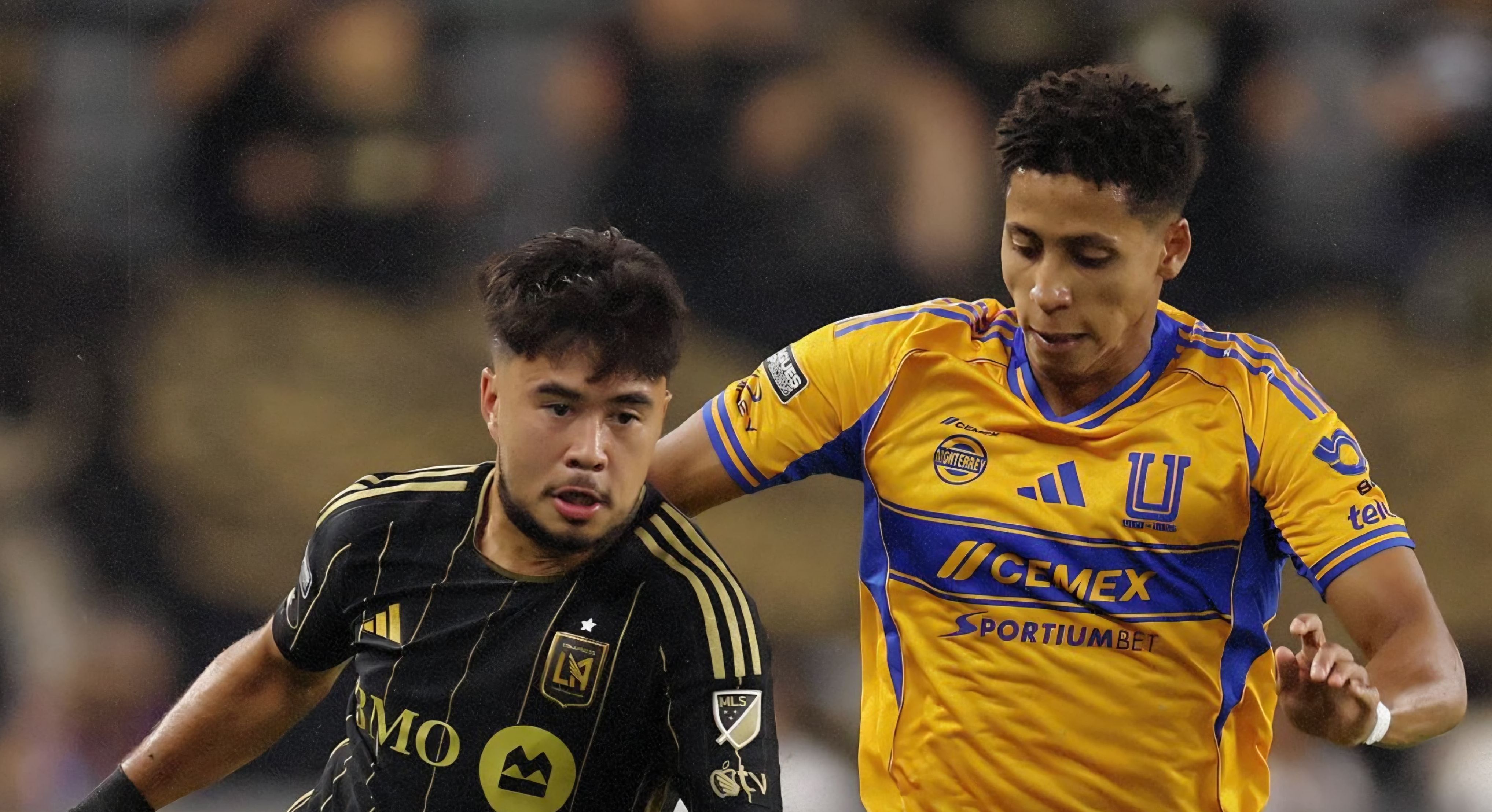 WhatsApp Image 2025-08-05 at 10.55.47 PM.jpeg