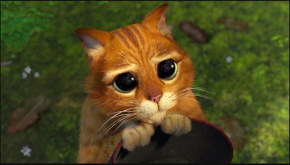 WhatsApp Image 2025-08-06 at 1.22.28 PM.jpeg