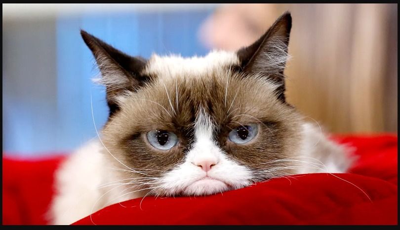 WhatsApp Image 2025-08-06 at 1.22.47 PM.jpeg