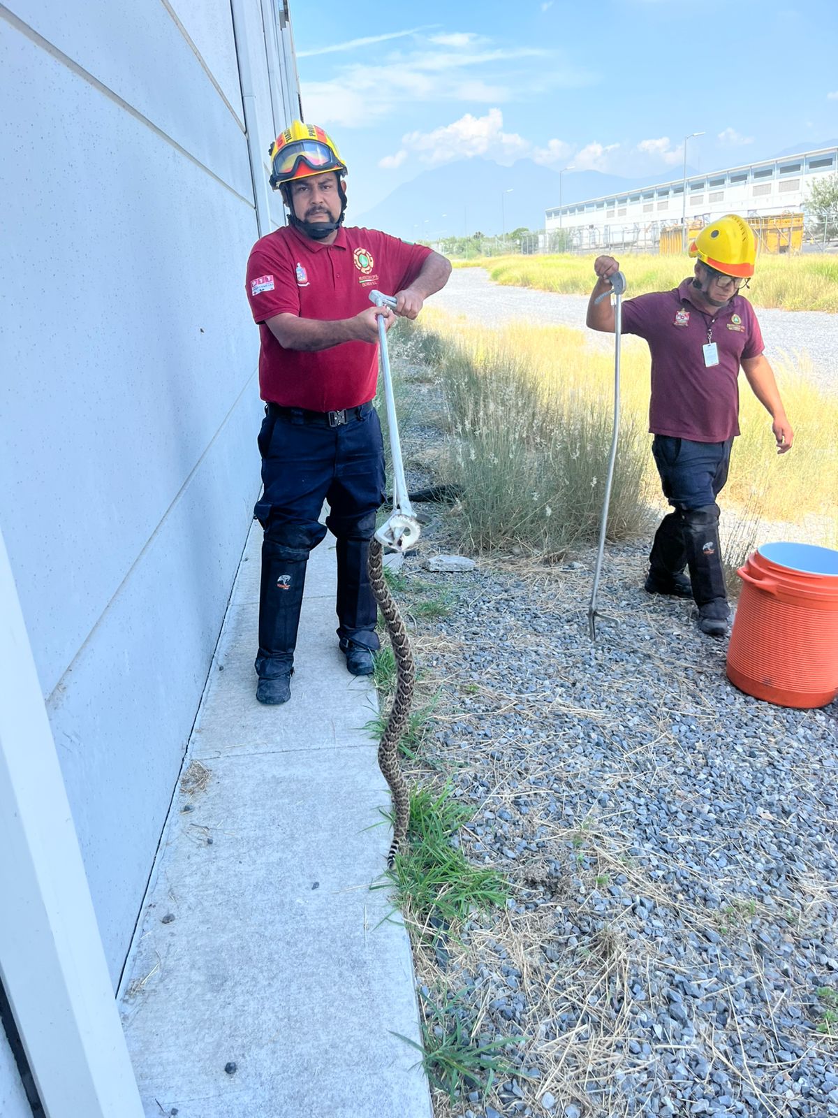 WhatsApp Image 2025-08-06 at 3.59.07 PM (2).jpeg