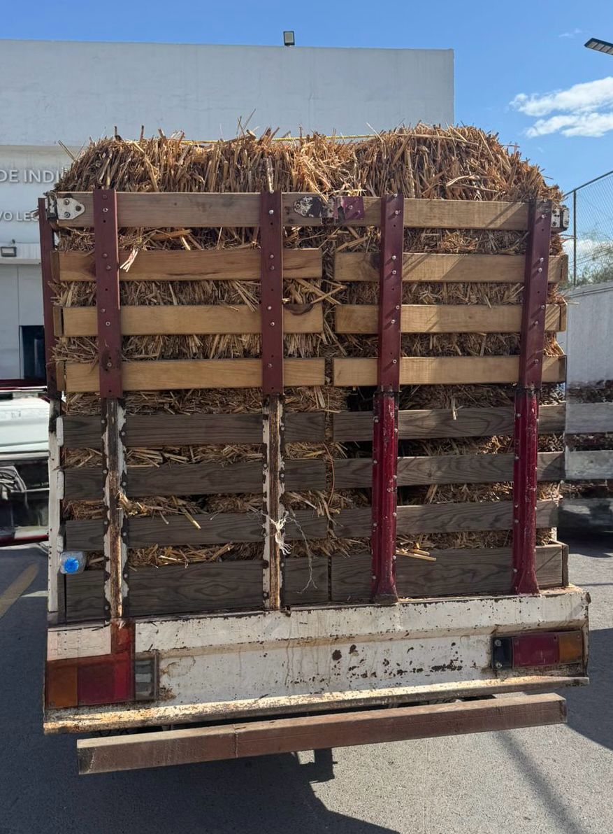 WhatsApp Image 2025-08-07 at 3.20.43 PM.jpeg