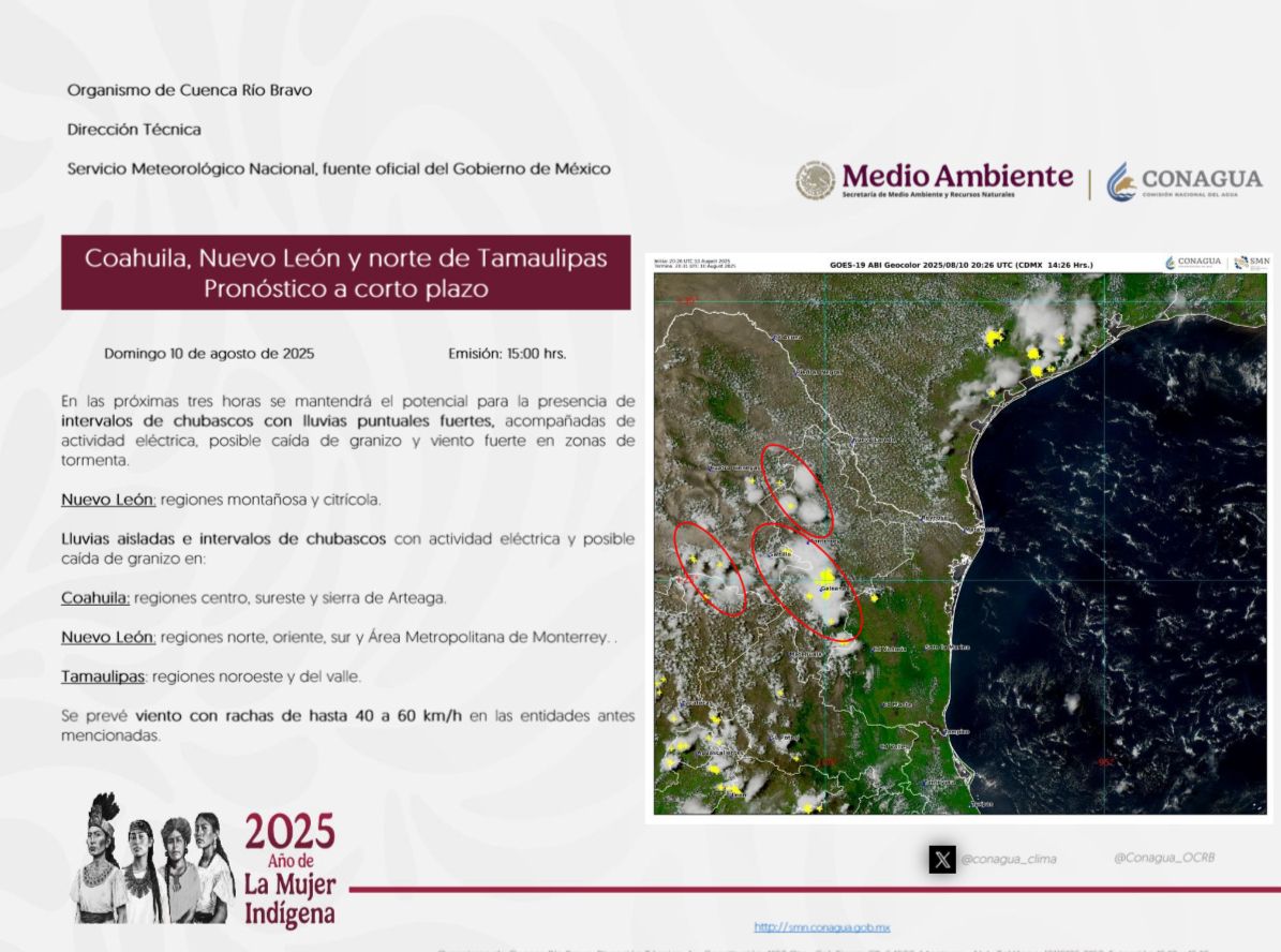 WhatsApp Image 2025-08-10 at 3.10.42 PM.jpeg