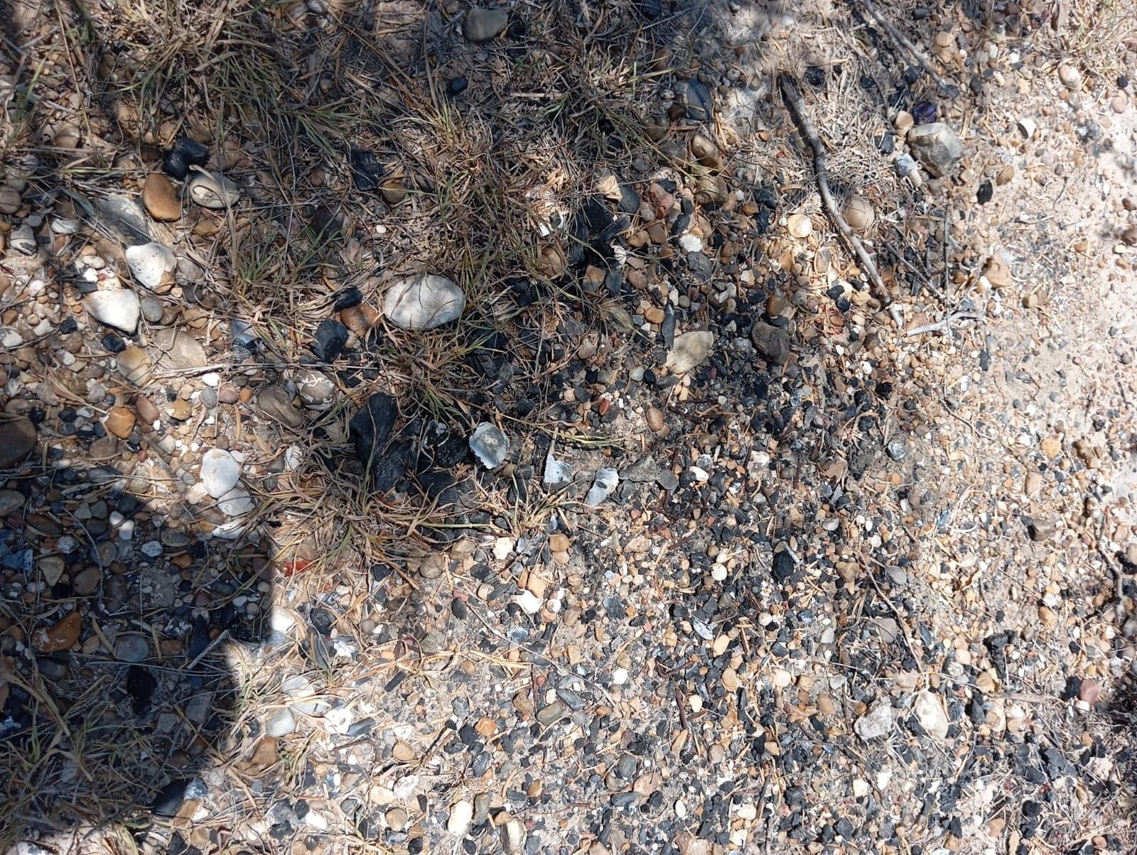 WhatsApp Image 2025-08-11 at 2.28.26 PM.jpeg