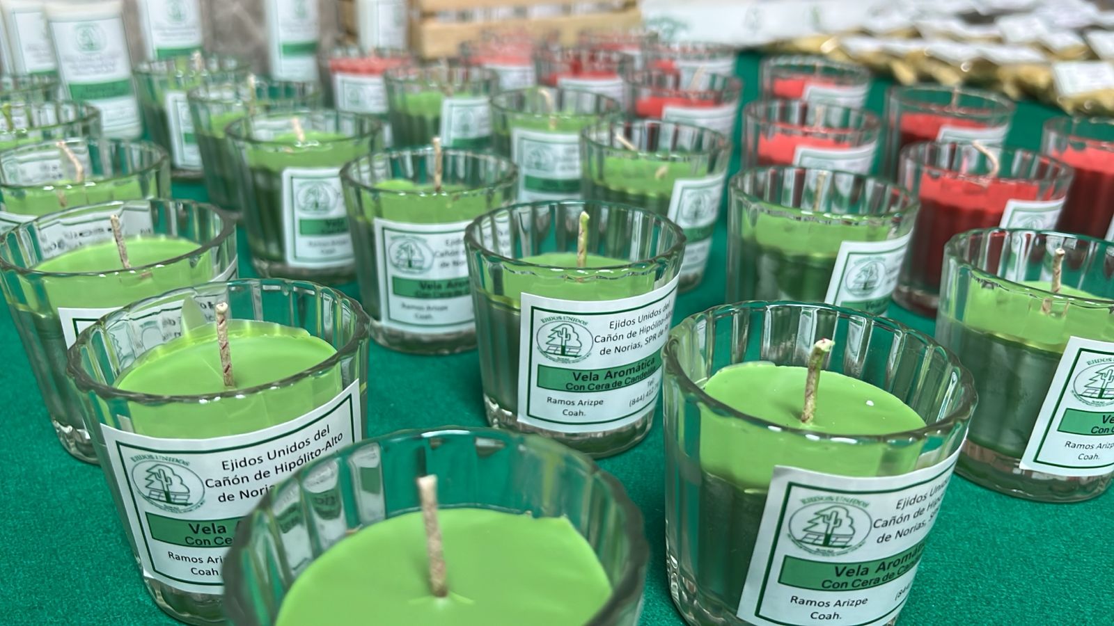 WhatsApp Image 2025-08-11 at 6.29.30 PM.jpeg