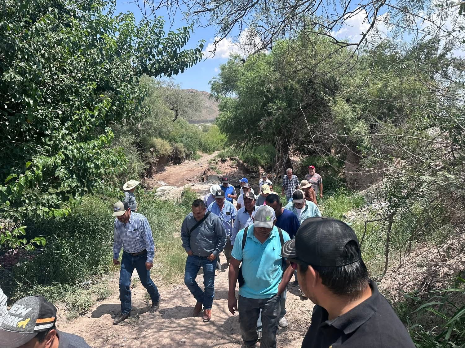 WhatsApp Image 2025-08-15 at 2.45.32 PM.jpeg