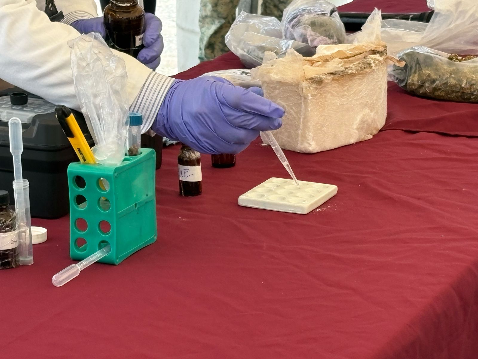 WhatsApp Image 2025-08-15 at 8.04.18 PM (1).jpeg