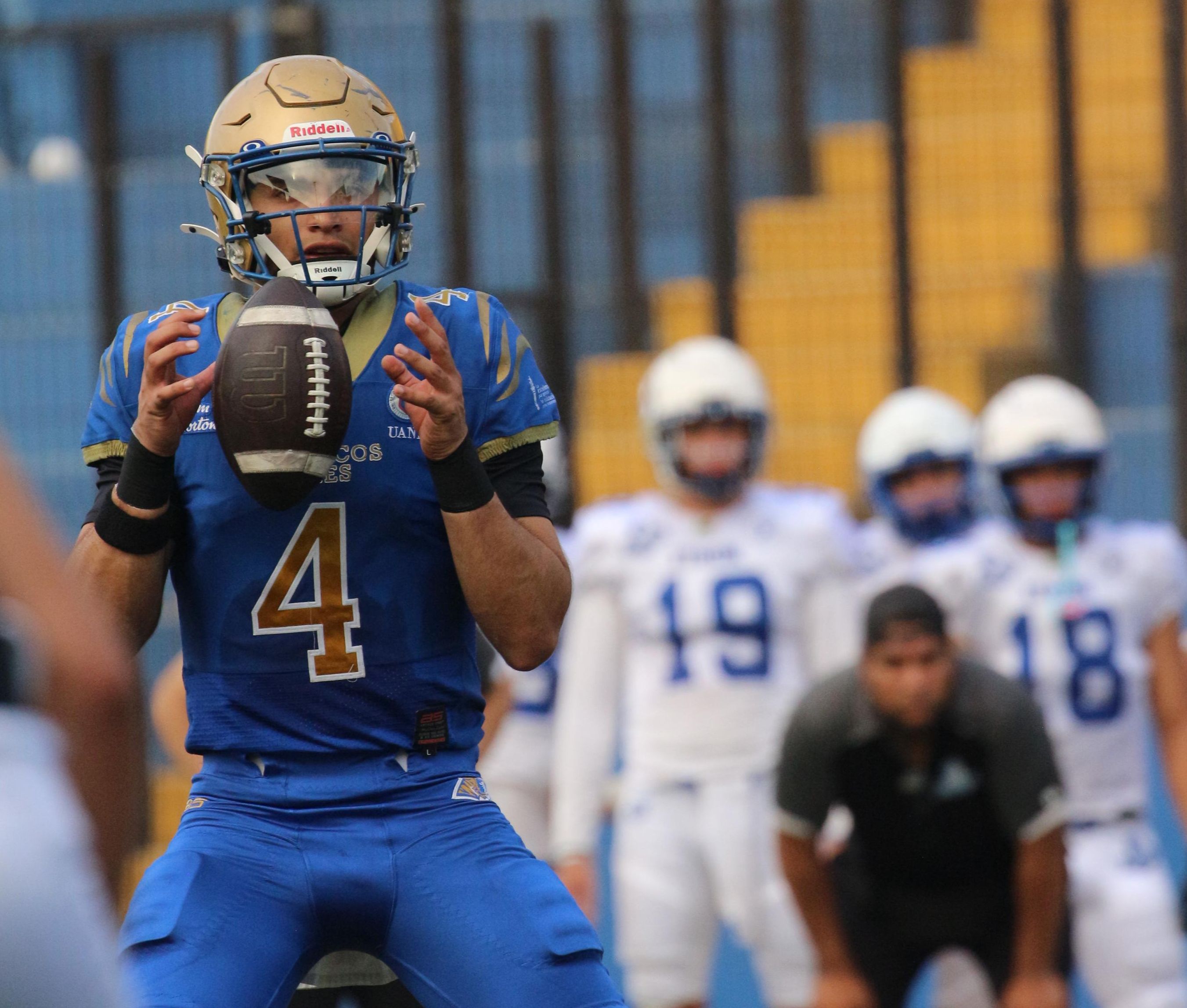 WhatsApp Image 2025-08-15 at 8.11.46 PM.jpeg