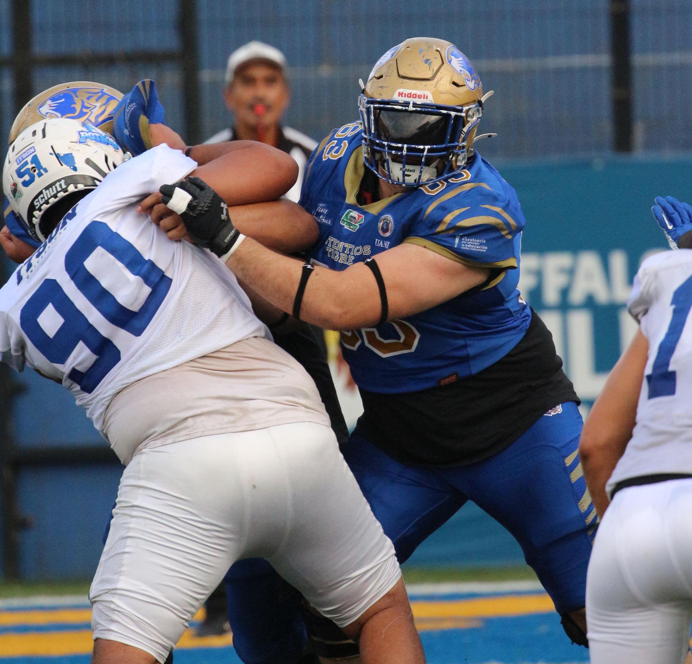 WhatsApp Image 2025-08-15 at 8.11.51 PM.jpeg