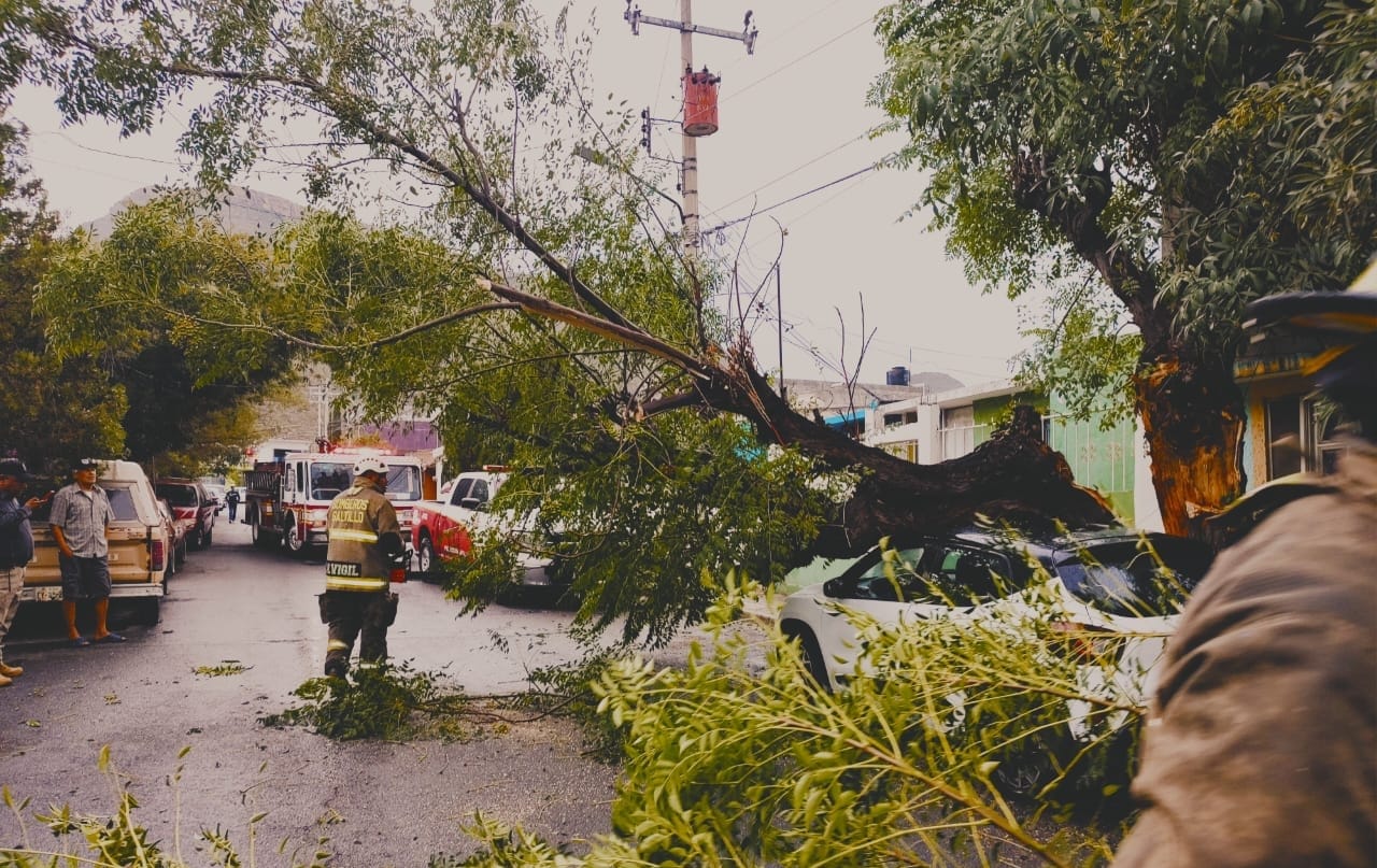 WhatsApp Image 2025-08-16 at 5.21.22 PM.jpeg