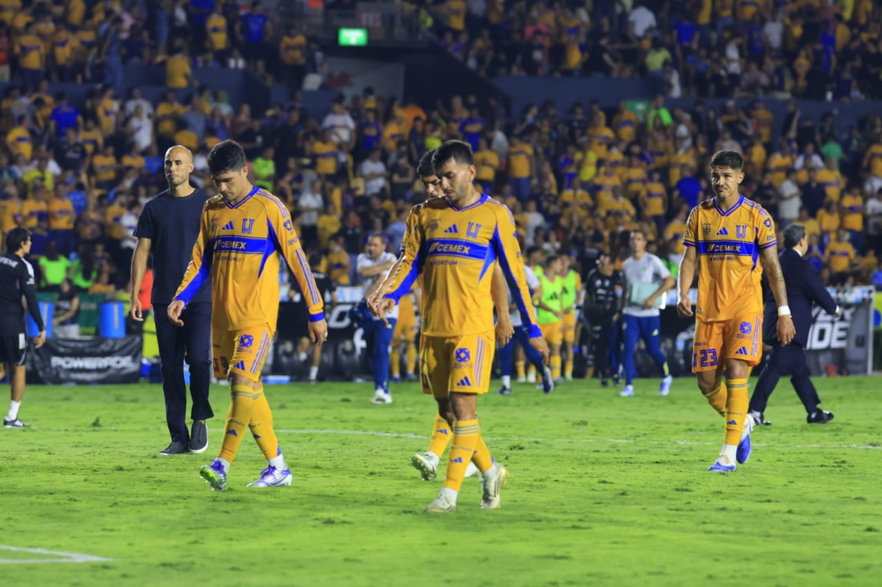 WhatsApp Image 2025-08-16 at 8.58.27 PM.jpeg