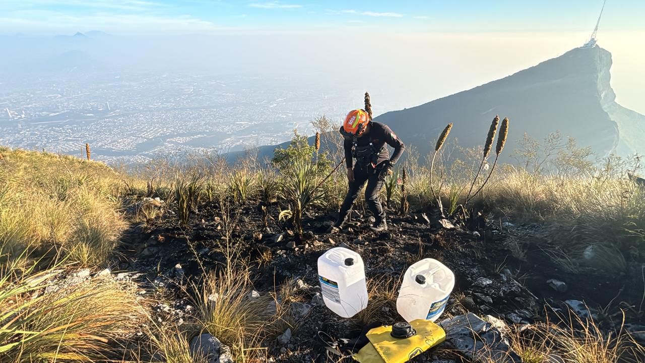 WhatsApp Image 2025-08-17 at 11.49.04 AM.jpeg