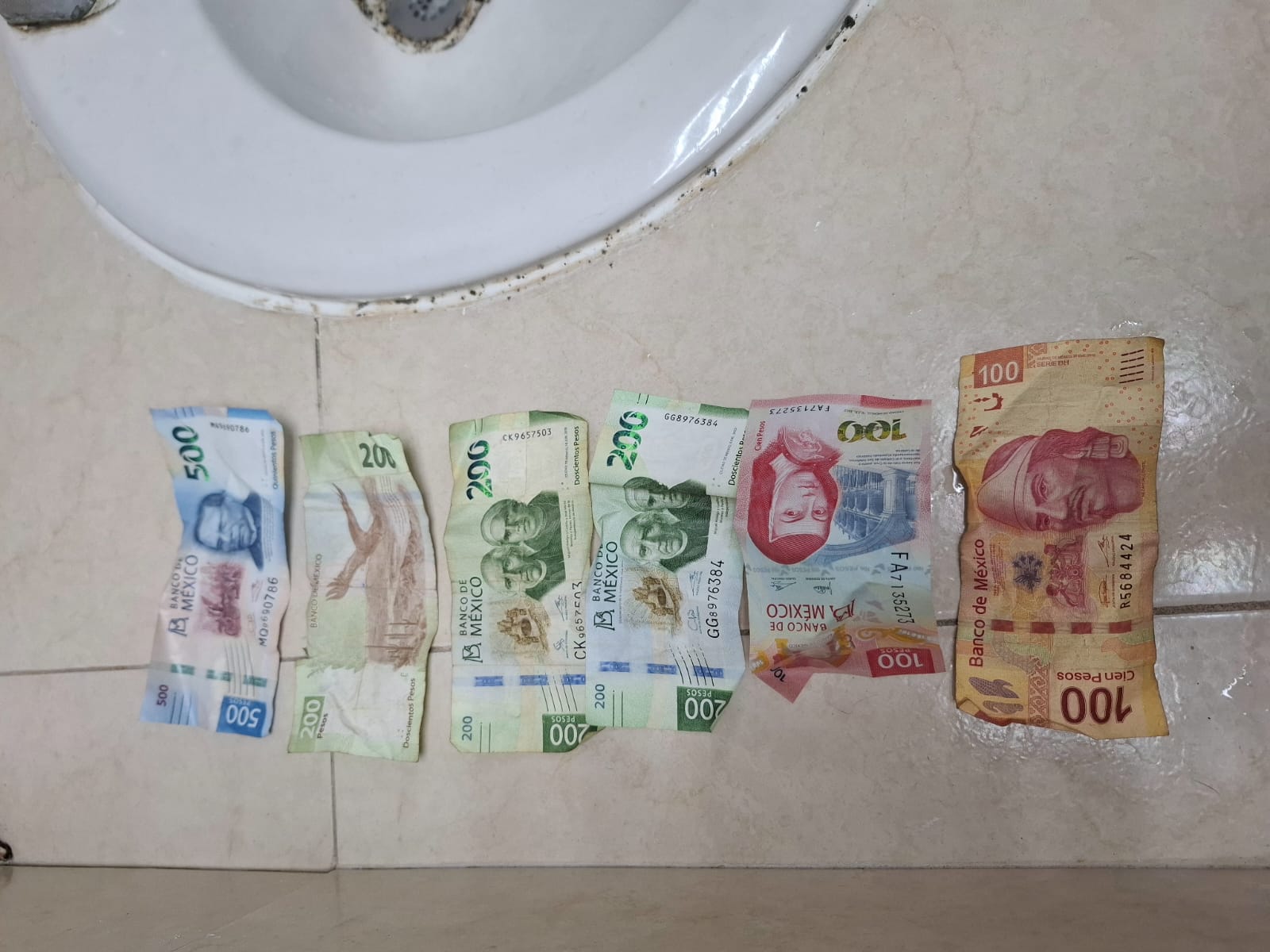 WhatsApp Image 2025-08-18 at 7.47.45 PM.jpeg