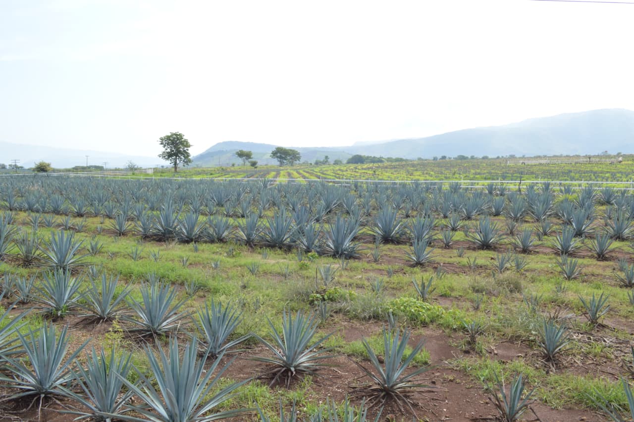 WhatsApp Image 2025-08-18 at 9.59.24 PM.jpeg