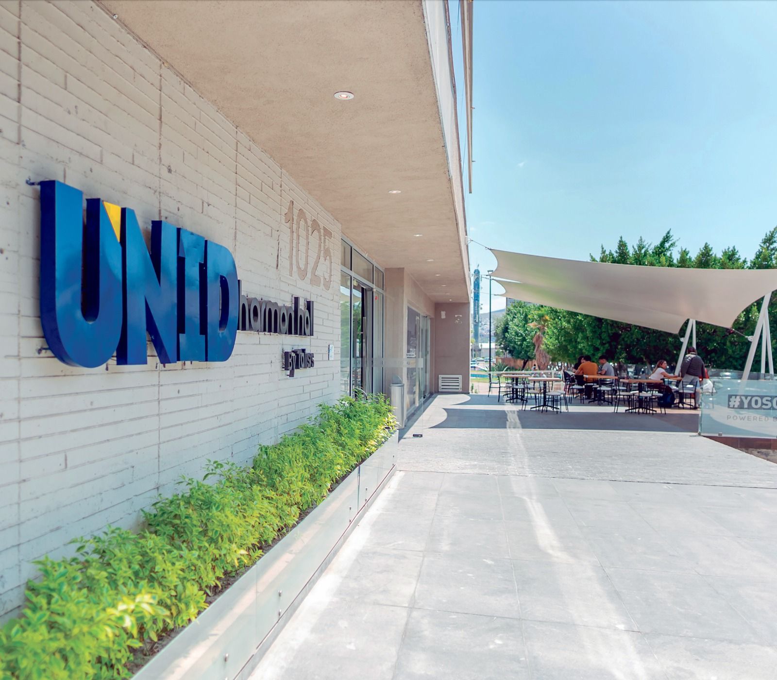 WhatsApp Image 2025-08-19 at 2.23.43 PM.jpeg