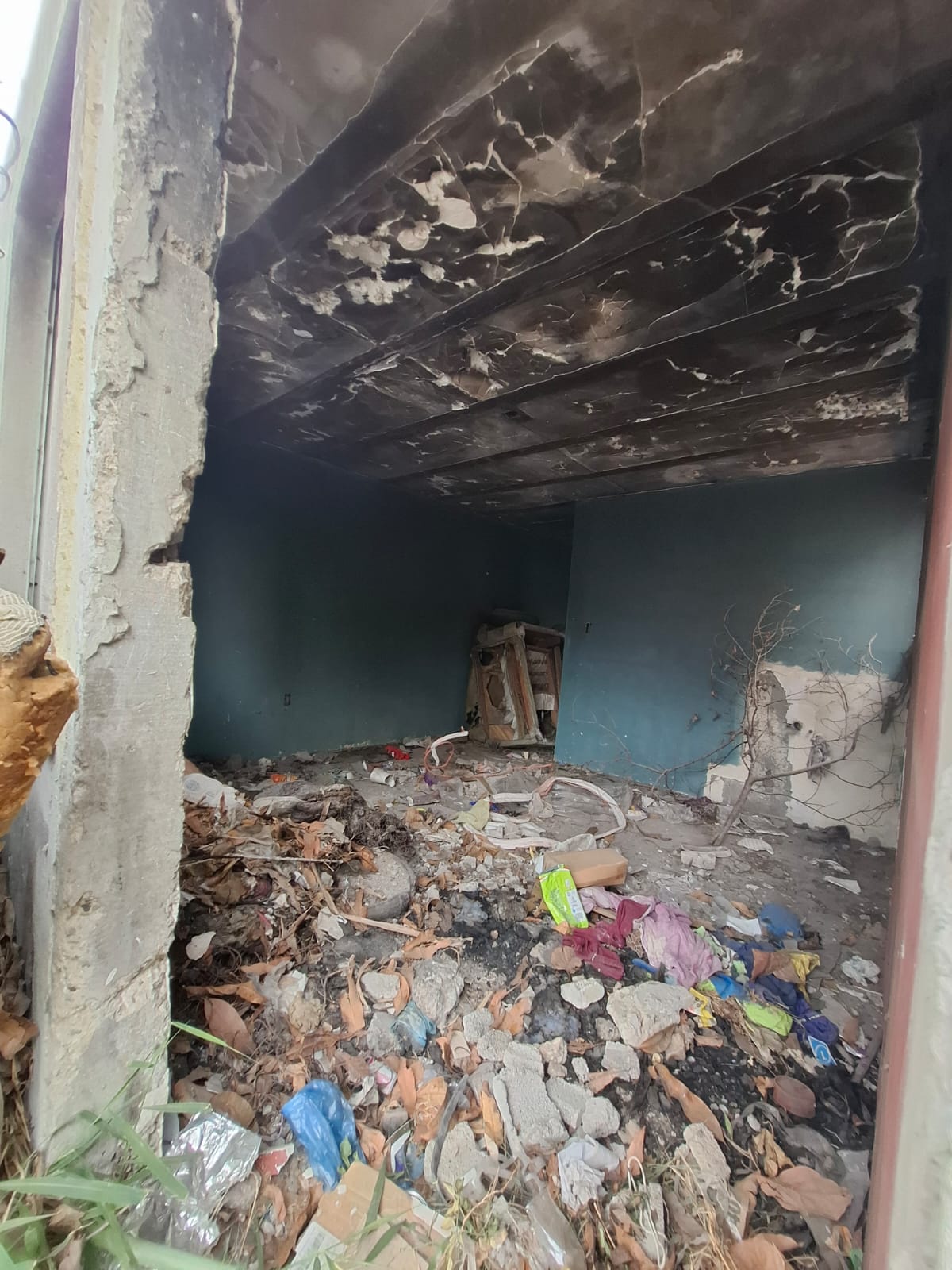 WhatsApp Image 2025-08-19 at 7.18.35 PM.jpeg