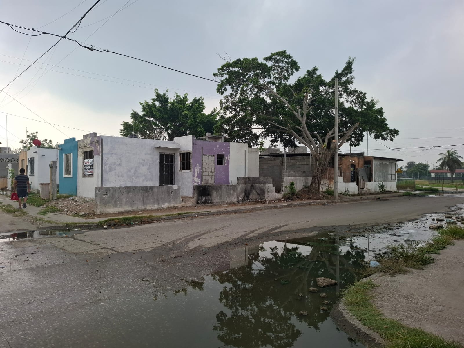 WhatsApp Image 2025-08-19 at 7.18.36 PM.jpeg