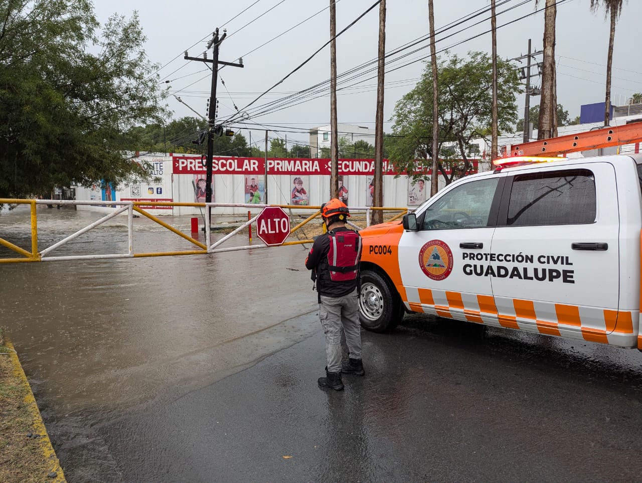 WhatsApp Image 2025-08-20 at 10.02.07 AM.jpeg