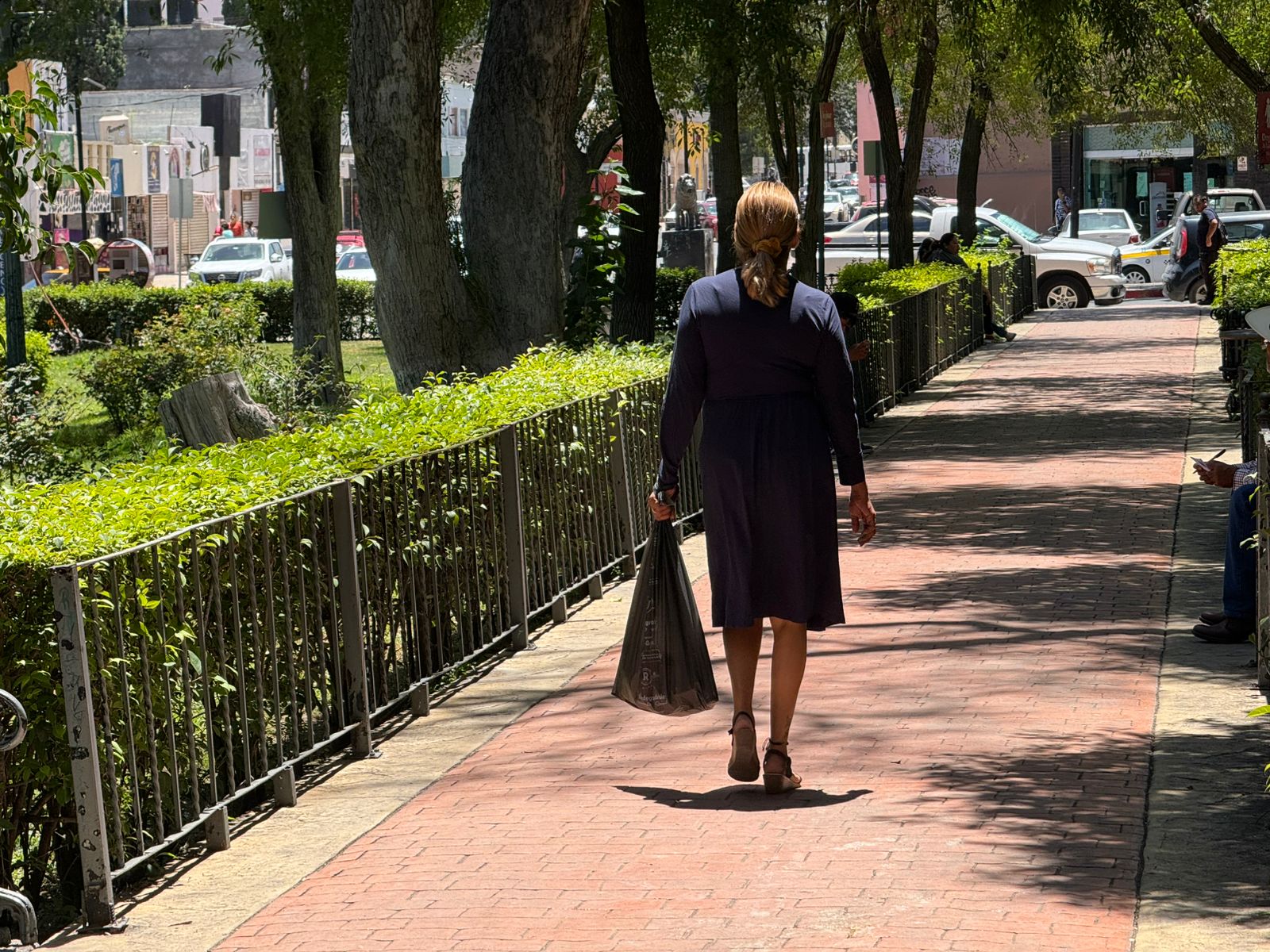 WhatsApp Image 2025-08-21 at 4.30.25 PM.jpeg