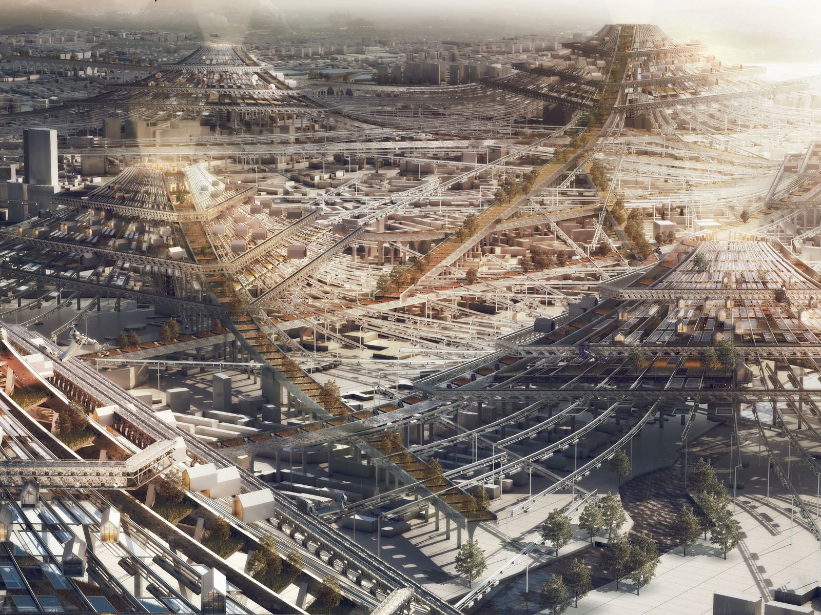 WhatsApp Image 2025-08-21 at 5.28.39 PM.jpeg