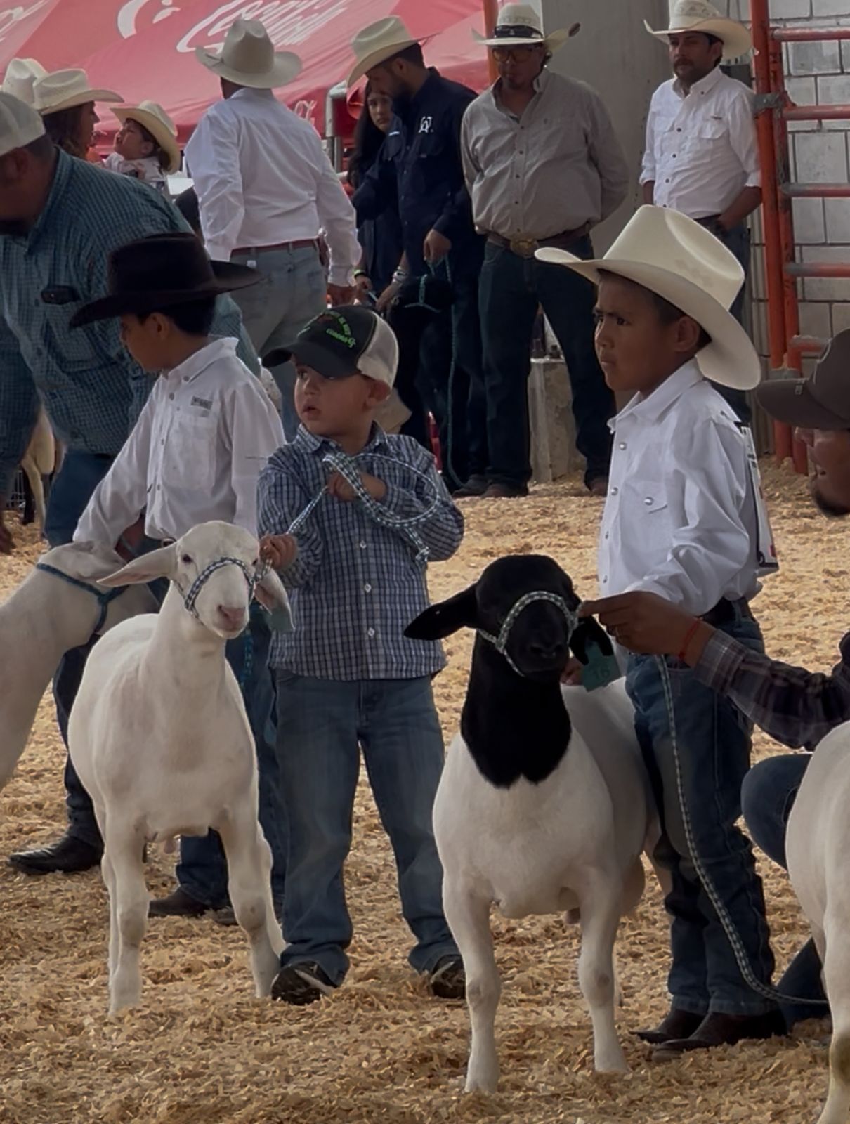 WhatsApp Image 2025-08-24 at 7.39.55 PM (1).jpeg