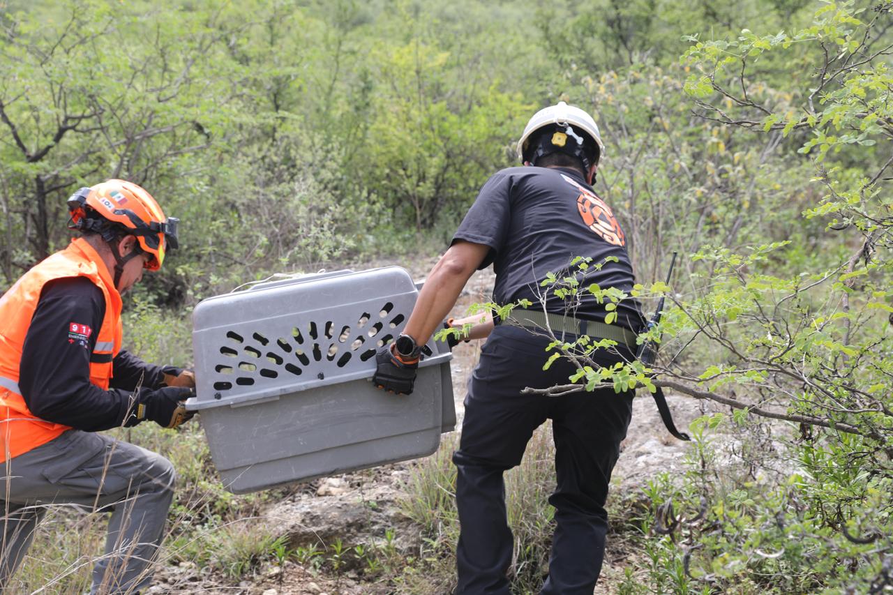 WhatsApp Image 2025-08-25 at 5.04.46 PM (1).jpeg