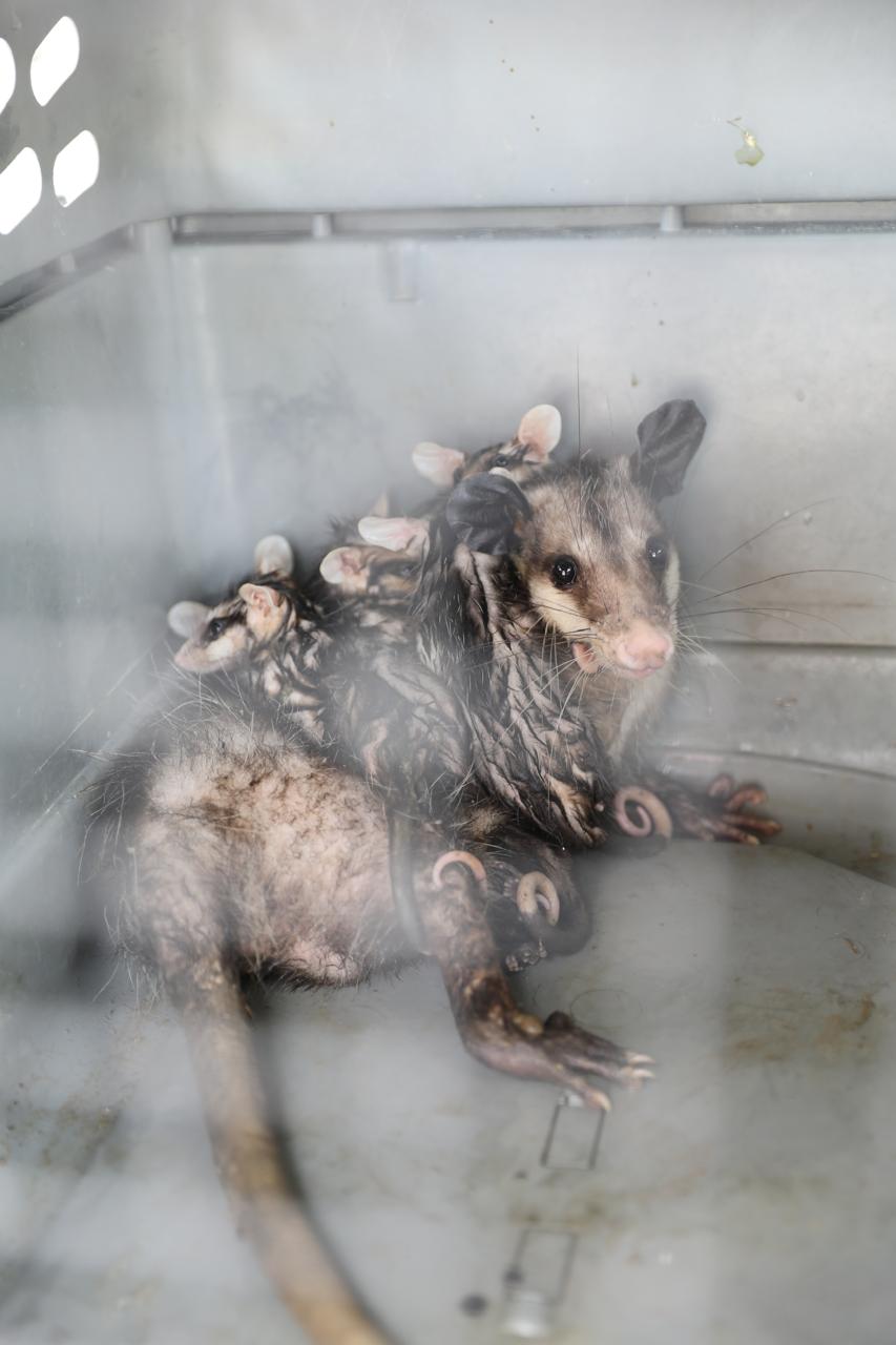 WhatsApp Image 2025-08-25 at 5.04.47 PM.jpeg